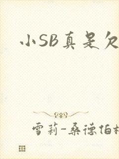 小SB真是欠C