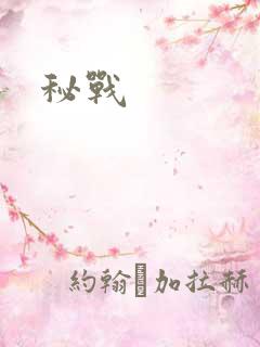 秘战