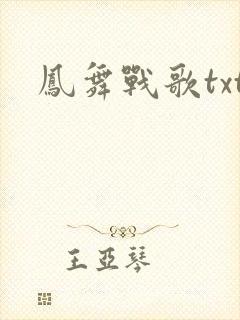凤舞战歌txt