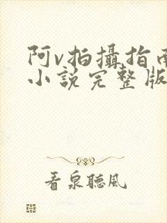 阿v拍摄指南说小说完整版