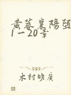 黄蓉襄阳堕落史1一20章