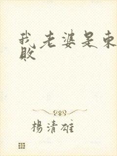 我老婆是东方不败