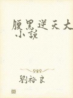 腹黑逆天大小姐 小说