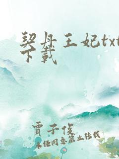 契丹王妃txt下载