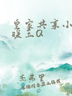 皇家共享小公主暖玉Q