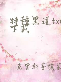 特种黑道txt下载