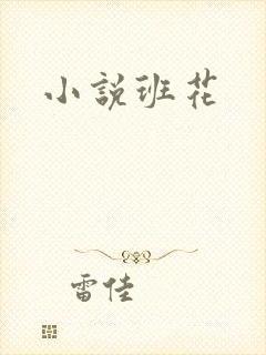 小说班花