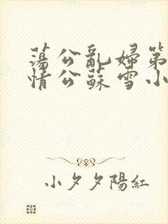 荡公乱妇第1章情公苏雪小说