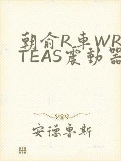 朝俞R车WRITEAS震动器