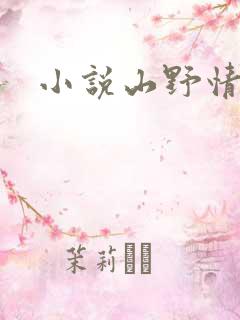 小说山野情债