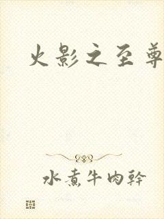 火影之至尊邪帝