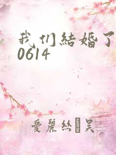 我们结婚了130614