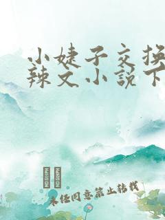 小婕子交换系列辣文小说下载