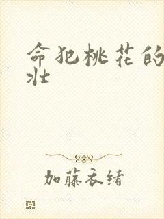 命犯桃花的李大壮