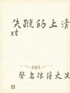 失踪的上清寺txt