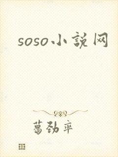soso小说网