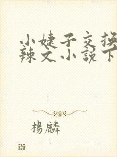 小婕子交换系列辣文小说下载