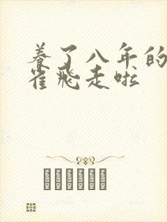 养了八年的金丝雀飞走啦