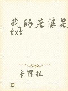 我的老婆是上司txt