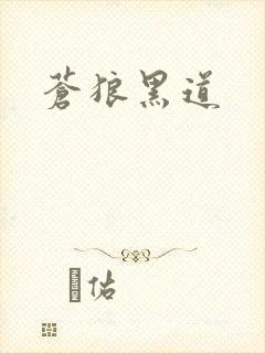苍狼黑道
