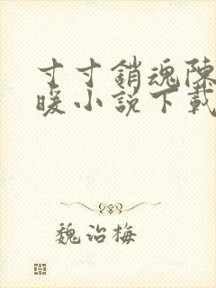 寸寸销魂陈聪王暖小说下载