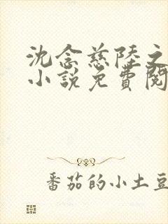 沈念慈陆之天的小说免费阅读