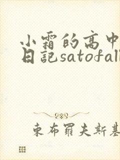 小霜的高中成长日记satofall