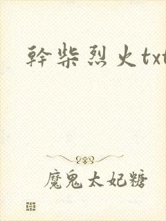干柴烈火txt
