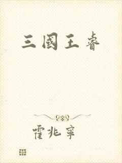 三国王睿