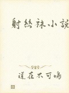 射丝袜小说