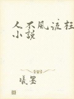 人不风流枉少年小说