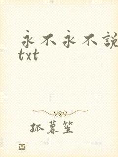 永不永不说再见txt