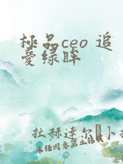 极品ceo 追爱绿眸