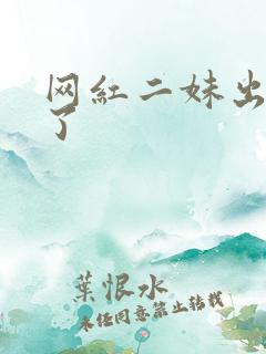 网红二妹出啥事了
