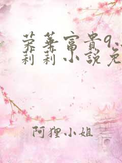 荣华富贵9小王莉莉小说免费阅读