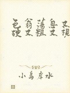 色翁荡息又大又硬又粗又视频图片