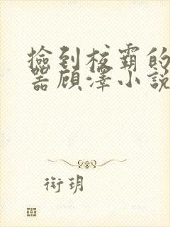 捡到校霸的遥控器顾泽小说免费阅读