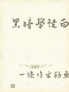 黑暗学徒白开水