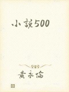 小说500