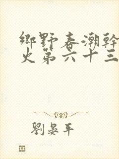 乡野春潮干柴烈火第六十三章