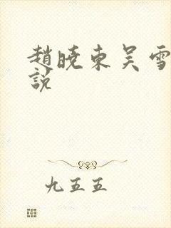 赵晓东吴雪晴小说