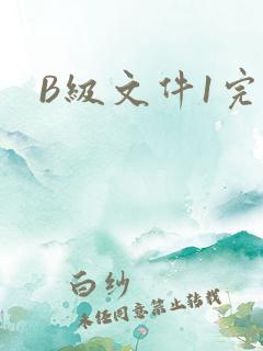 B级文件1完整