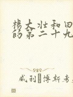 杨大壮和田桂花的第二十九