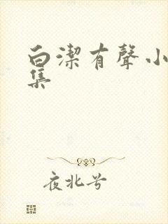 白洁有声小说全集