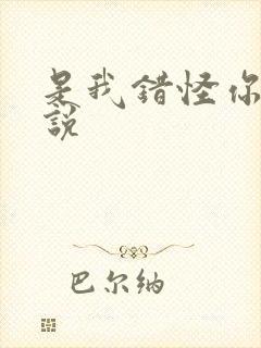 是我错怪你了小说