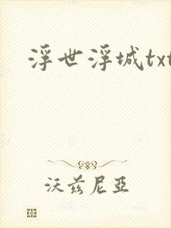 浮世浮城txt