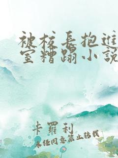 被校长抱进办公室糟蹋小说