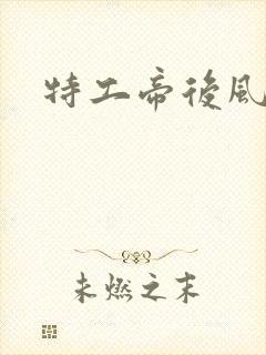 特工帝后风九少