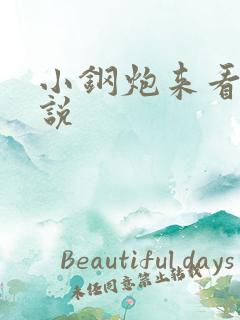 小钢炮来看我小说