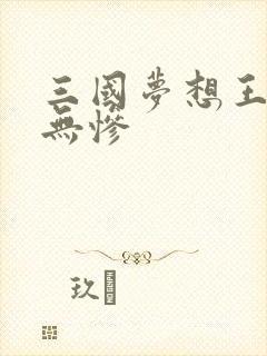 三国梦想王元姬无惨